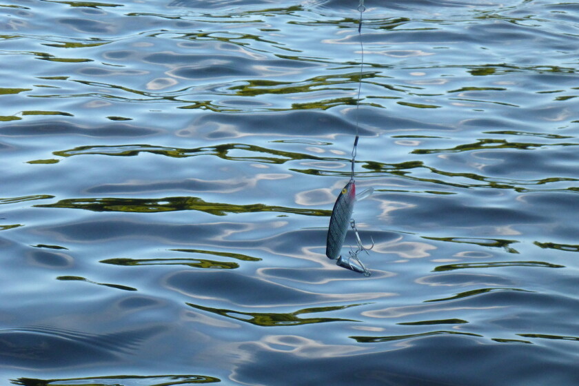 Minnesota launching new electronic hunting and fishing licensing system ...