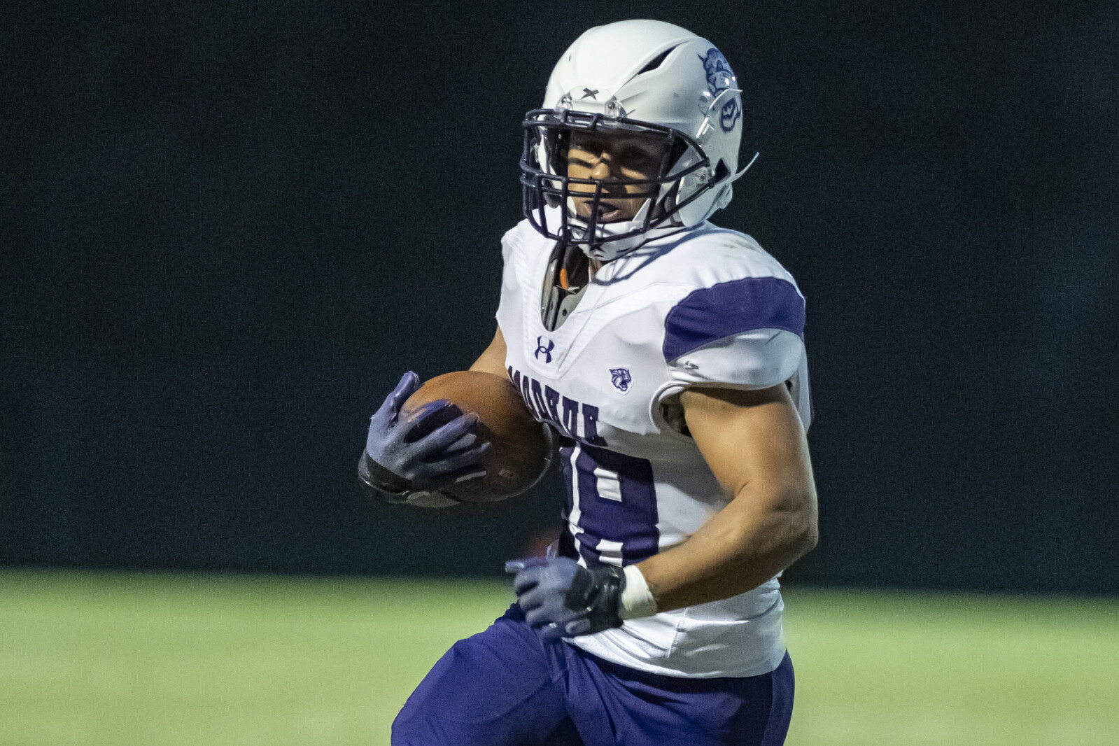 Kc Reed Rochester Mn Reed, Wildcats roar past Blooming Prairie in playoff opener - Post ...