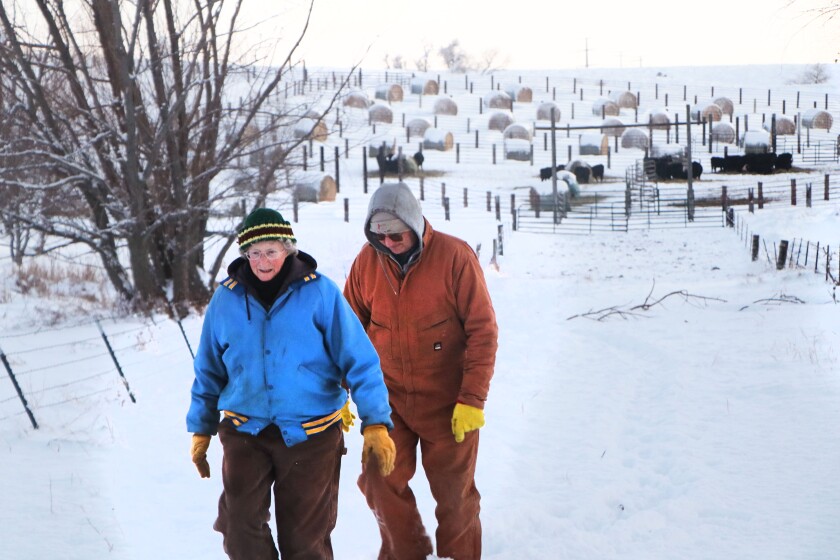A couple walk down a snowy path, flanked by a series of pens on a hillside, with large round bales.