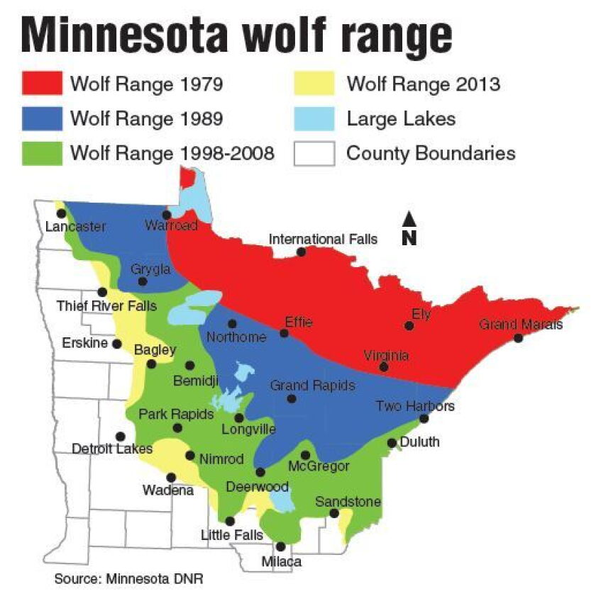 Wolves Range Minnesota's wolf population down nearly 25 percent - Grand Forks Herald ...
