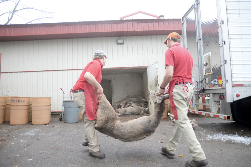 Video: Post-season meat processing - West Central Tribune | News ...
