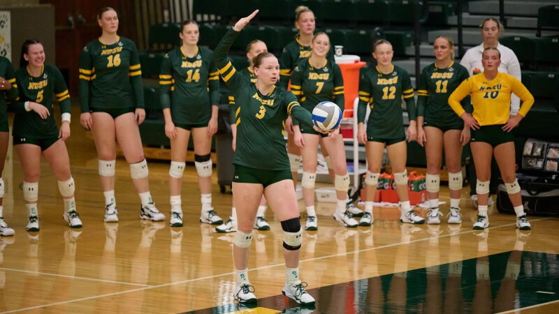 Southeastern Minnesota Volleyball Players Shine at College Level