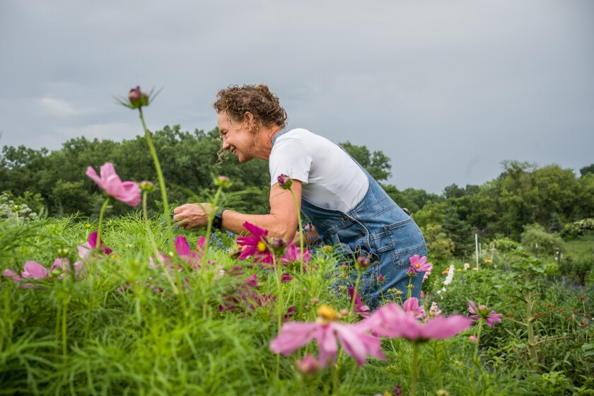 Bluff Valley Farm