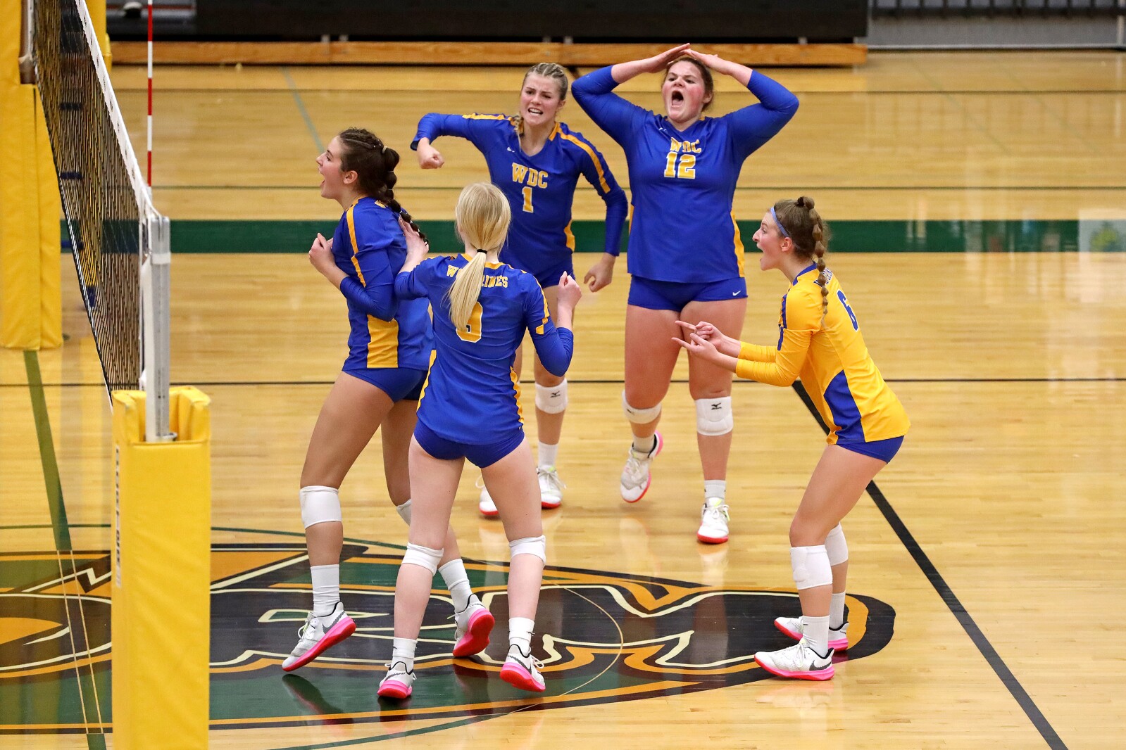 Pequot Lakes vs Wadena-Deer Creek Volleyball on Thursday, Nov. 3, 2022, in Sauk Rapids.