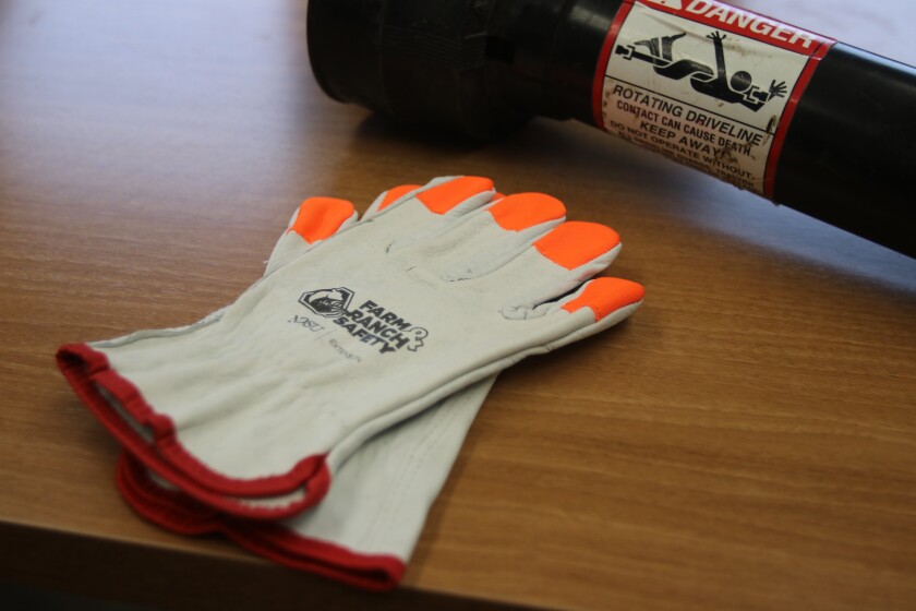 Farm safety gloves that Angie Johnson had displayed in Angie Johnson's office..jpg