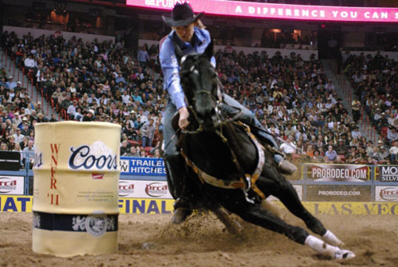 Local barrel racer earns world class honors - Detroit Lakes Tribune ...