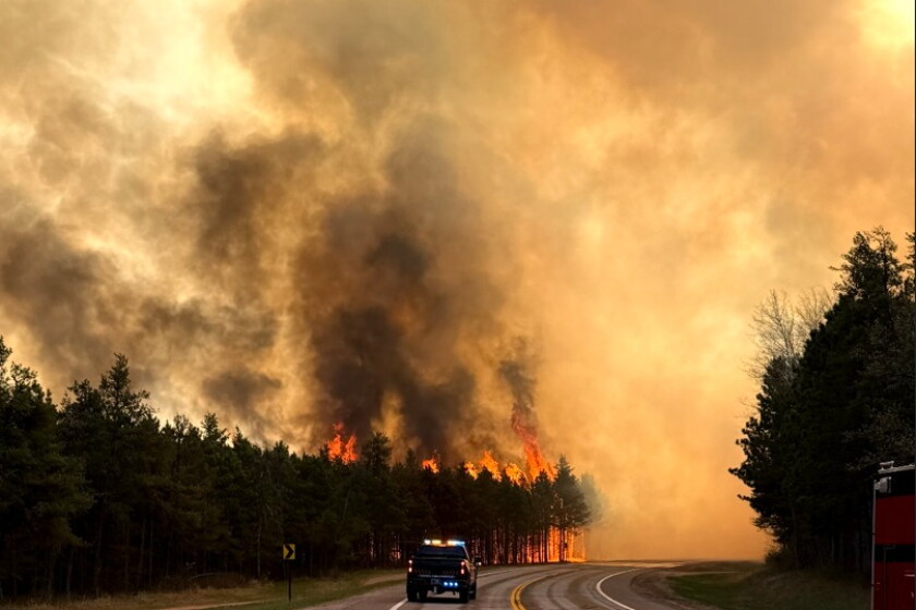 Finether Fire Timber auction set as a result of Flanders Fire - Brainerd Dispatch ...