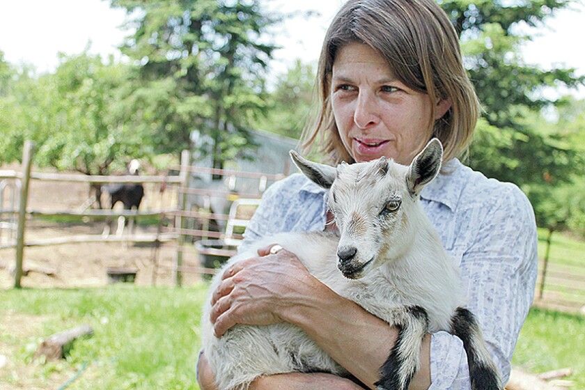 1857159+071215.n.st_.Goat_.jpg
