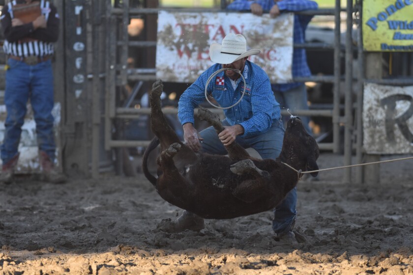 Locally grown talent: North Dakota pair wins team roping, Montana ...