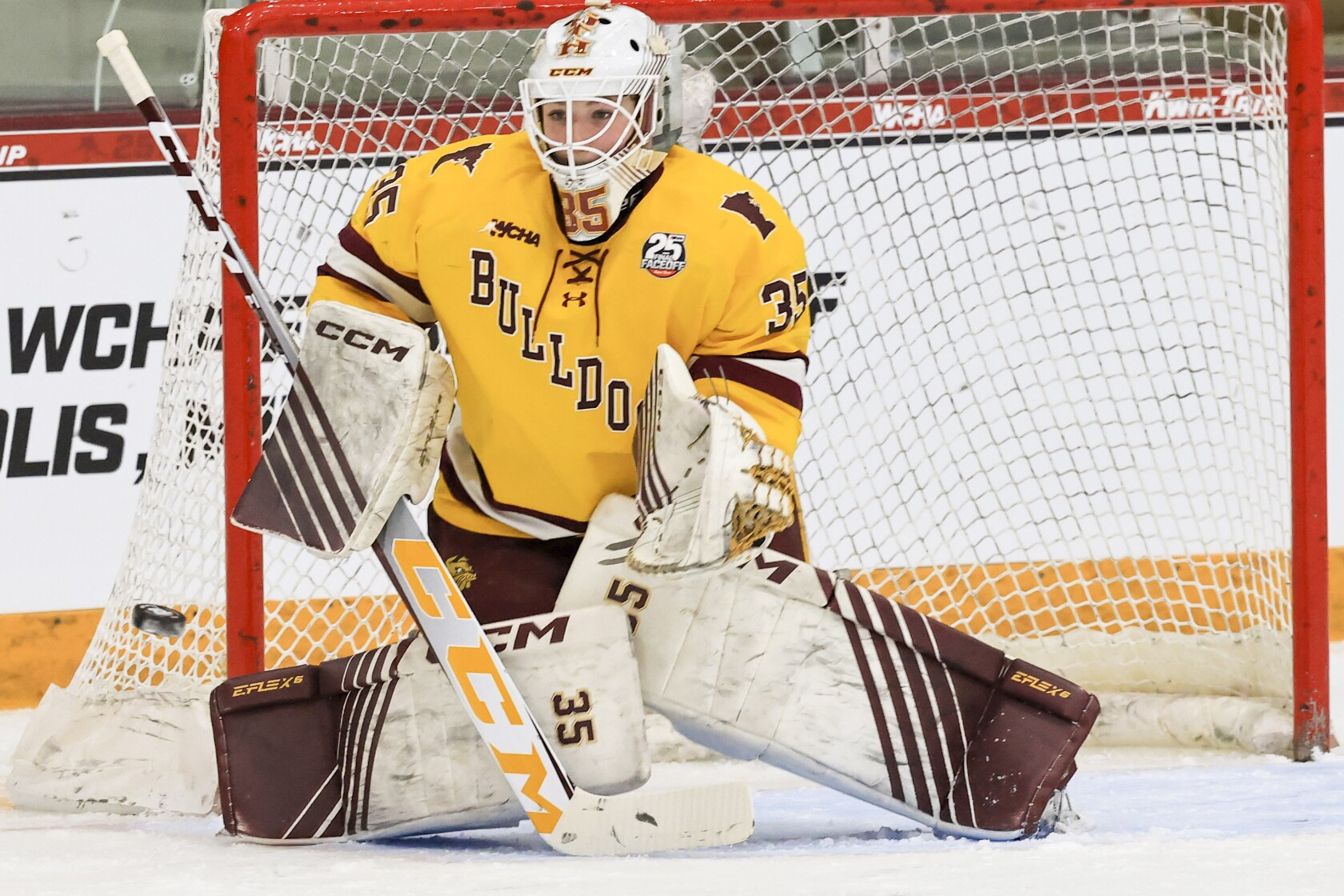 Umd Bulldogs Hockey Logo