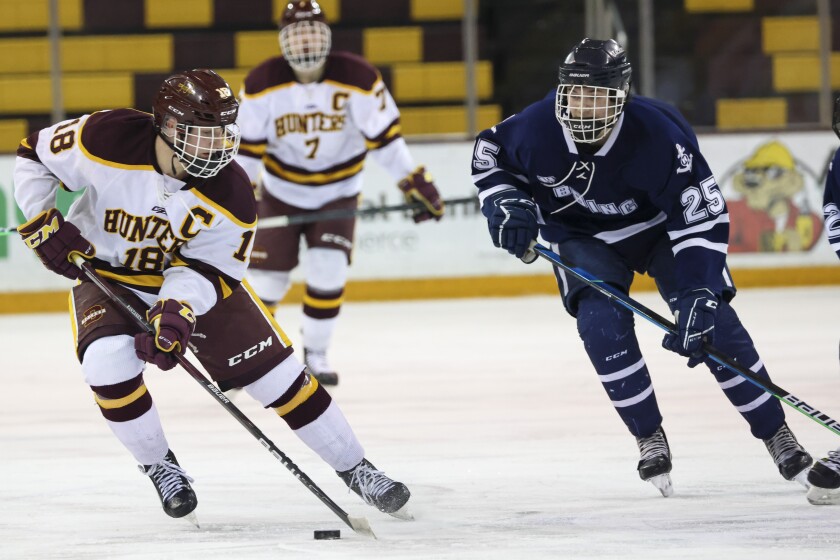 Denfeld delivers a shutout against Hibbing to advance to Section 7A championship game