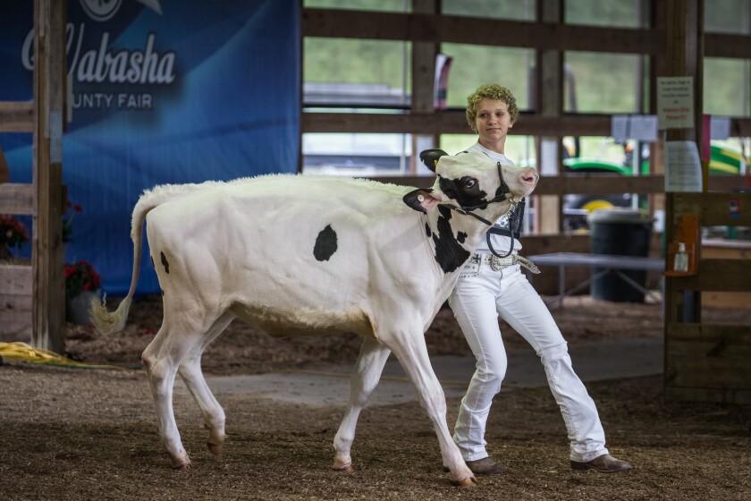 Wabasha County Fair