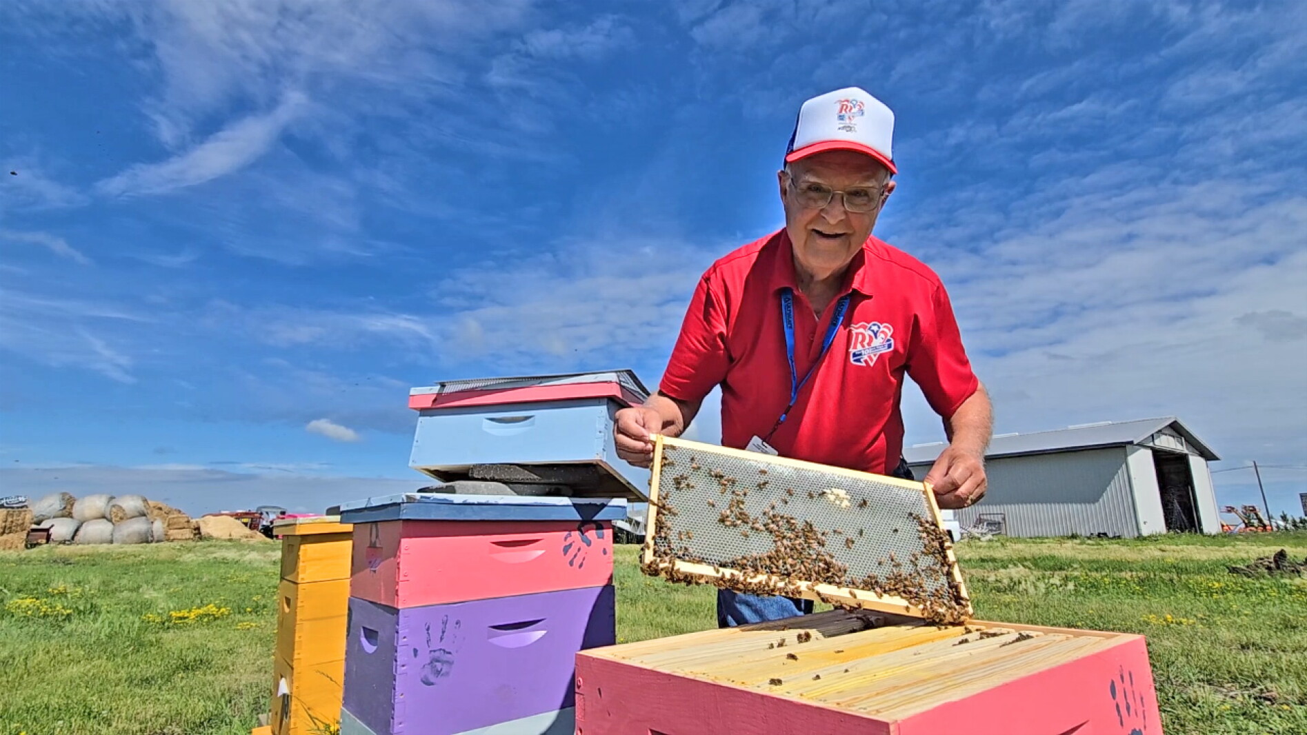 'Helping bees and mankind': Bees at Red River Valley Fair help generate interest in beekeeping