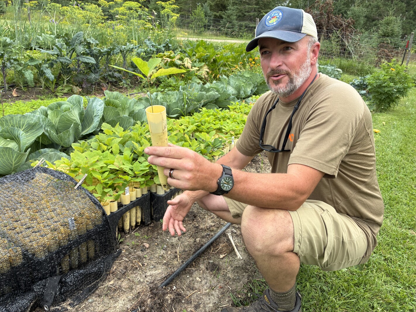 Forest fostering: Local farmer grows climate-adaptive seedlings as cooperative member