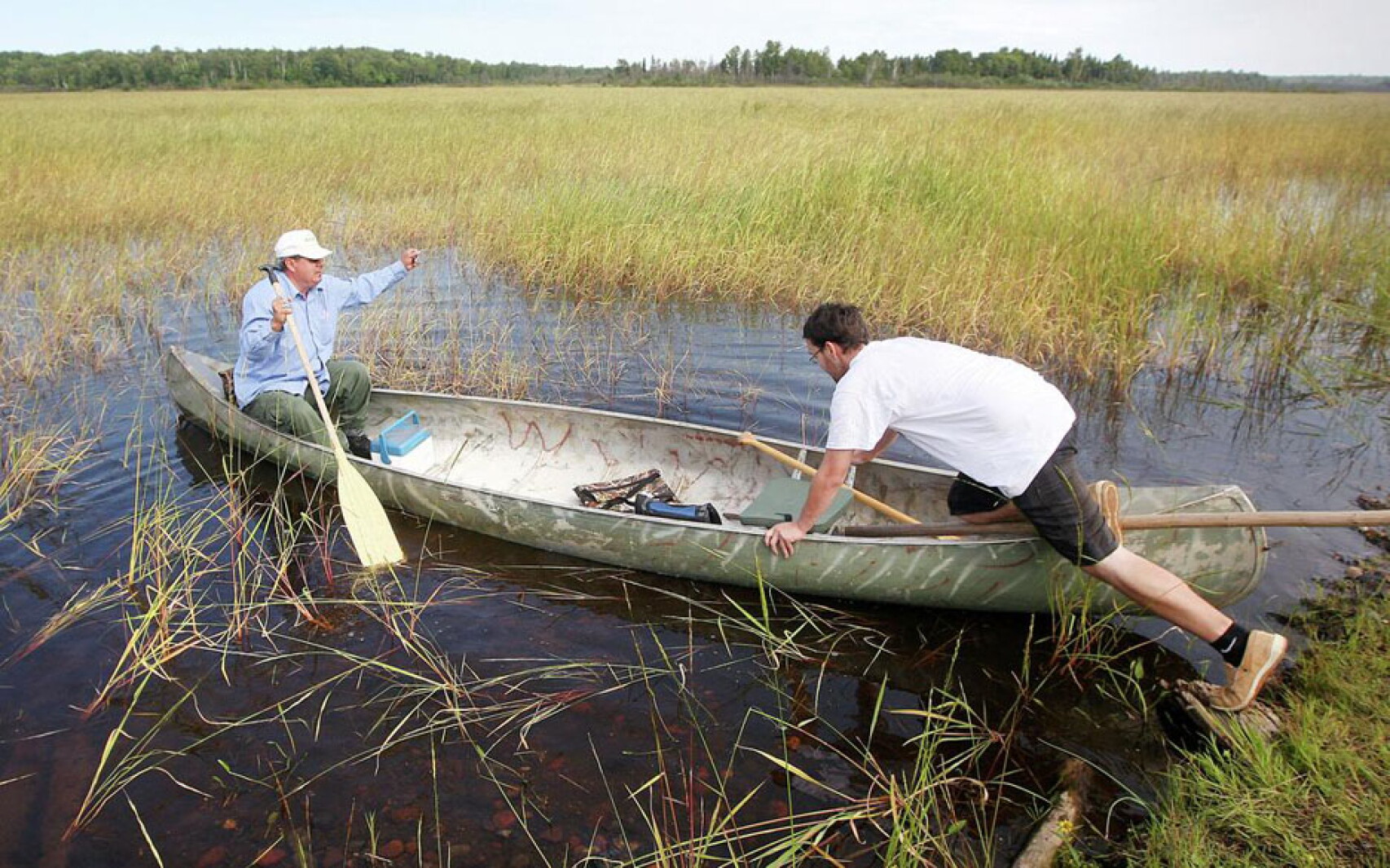 Wild Rice Season Minnesota's wild rice season is open, if you can get to it - Duluth ...