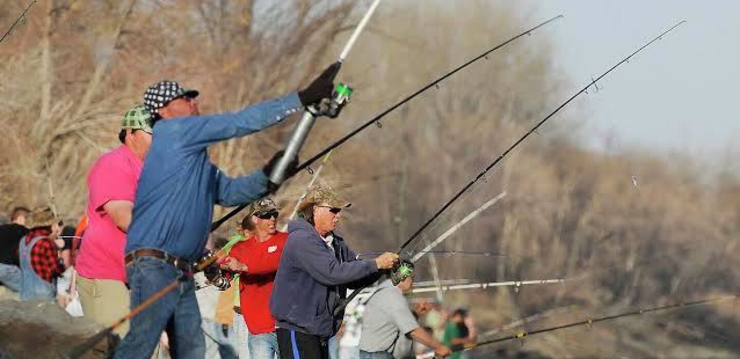The Best snagging rod and reel For You - 401 Fishing Reports
