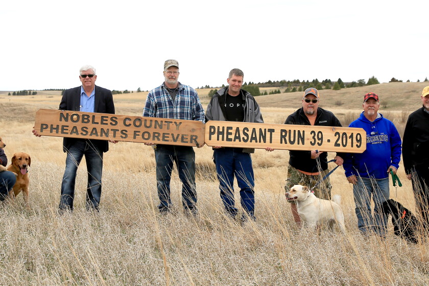 Pheasant Ransom Nobles County Pheasants Forever again named No. 1 chapter in the nation ...