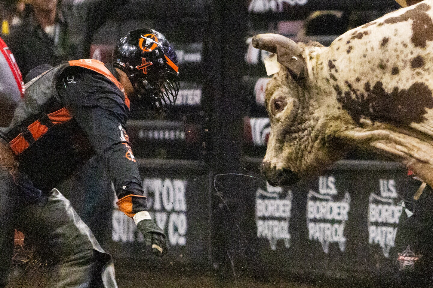 New Bull Riders Photos: Professional Bull Riders Challenger Series on Aug. 24, 2024 ...