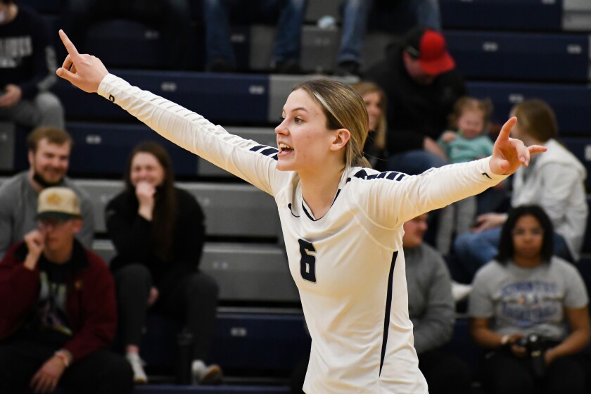 DSUVolleyball_7.jpg