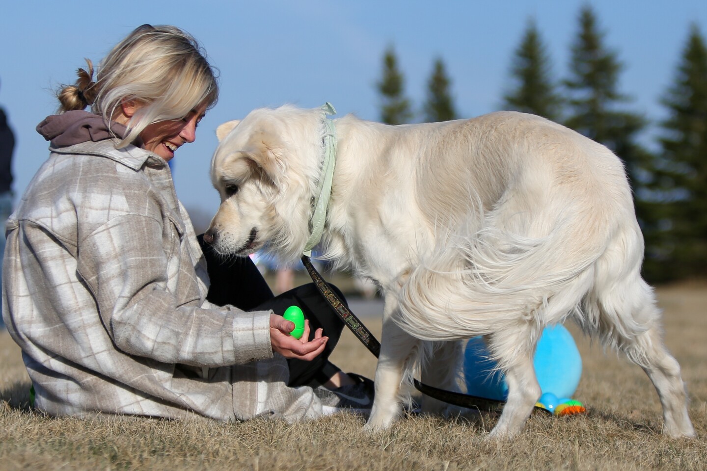 Kaitlyn Fraedrich with her 2-year-old dog, Henry, at the Natural Pet Center's Easter Egg Hunt for dogs on Wednesday, April 16, 2025, at MB Johnson Park in Moorhead. It's the fourth year Natural Pet Center has held the event in support of The Homeward Animal Shelter. 100 percent of the ticket prices are donated to the Homeward Animal Shelter. Kaitlyn is sitting in the grass holding a plastic egg that has a treat inside that her dog Henry is interested in.