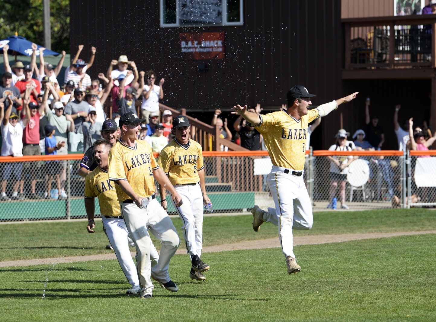 Amateur baseball: Bird Island Bullfrogs’ dream falls short - West ...