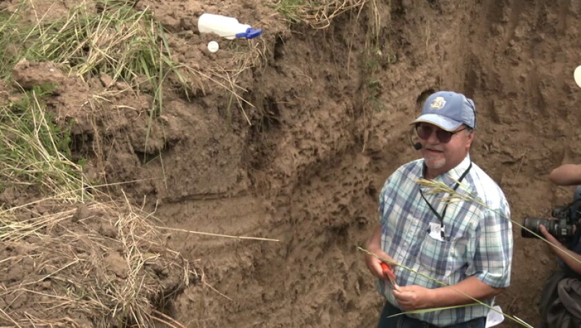 Understanding Your Soil Type