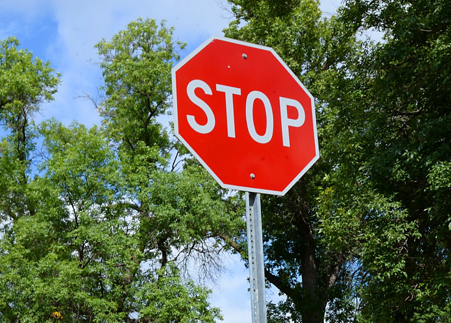 Kandiyohi County Recovers Dozens Of Stolen Road Signs Charges Expected kandiyohi-county-recovers-dozens-of-stolen-road-signs-charges-expected