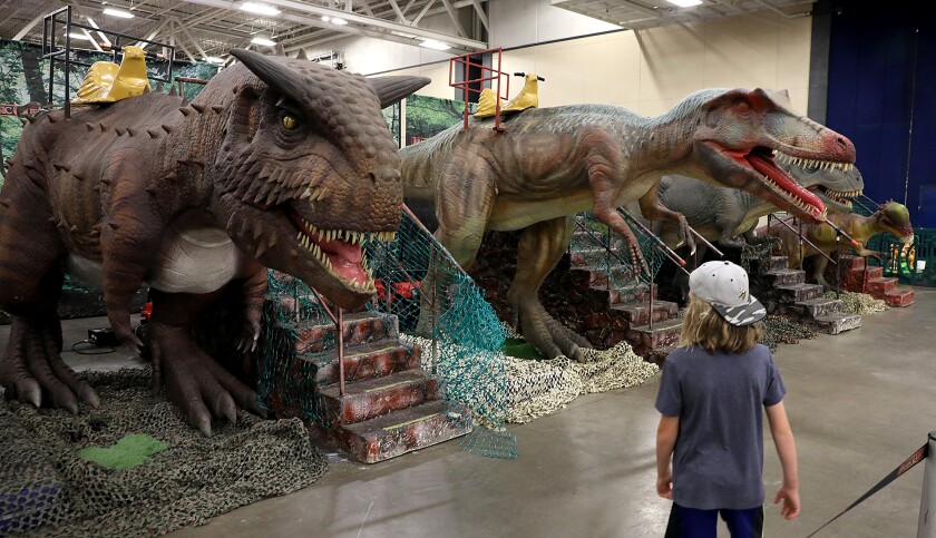 A local kid looks over multiple dinosaurs that he could sit on