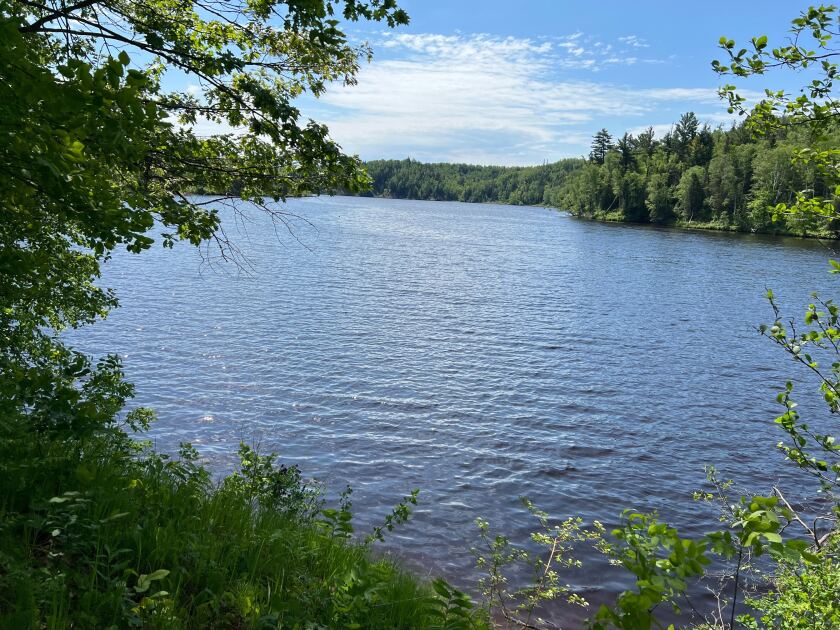 A view of the St. Louis River from the Grand Portage Trail