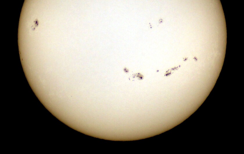Sunspot cornucopia