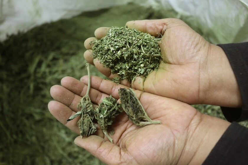 021720.AG.PrairieProductsHempCBDOil06.jpg