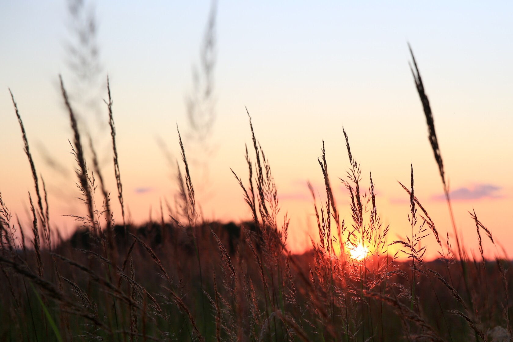Conservation Reserve Program enrollment opens - The Globe | News ...
