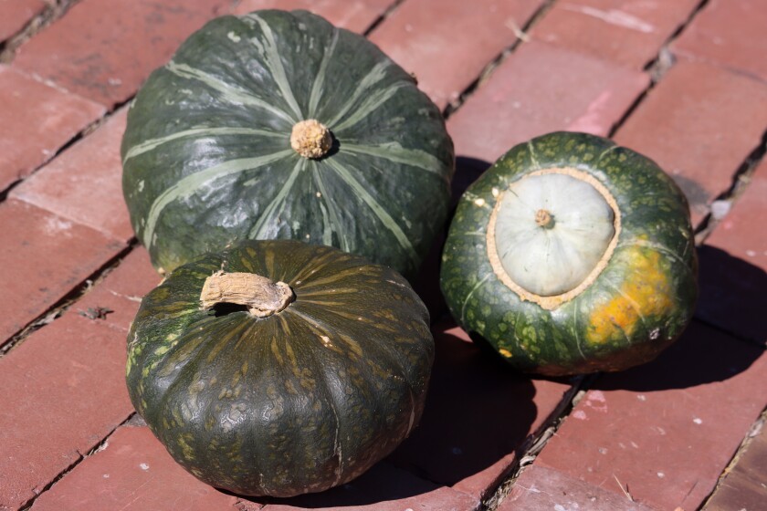 100122.F.FF.GrowingTogether.2