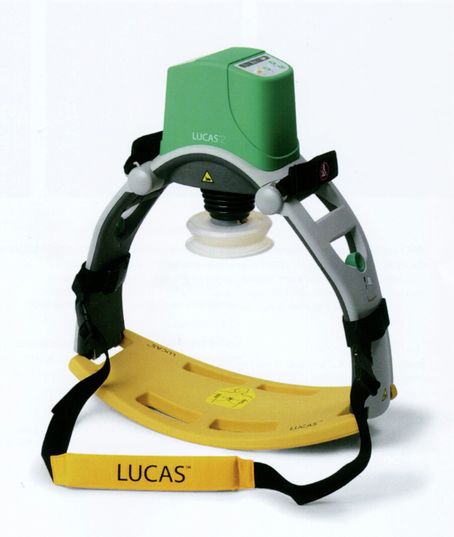 Meet 'Lucas' - Alexandria Echo Press | News, weather and sports from ...