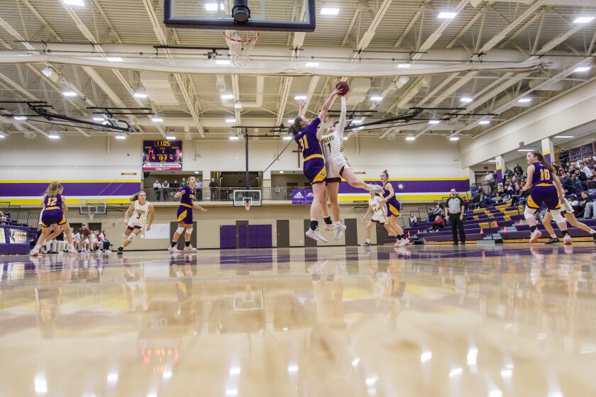 Lourdes, Stewartville girls basketball
