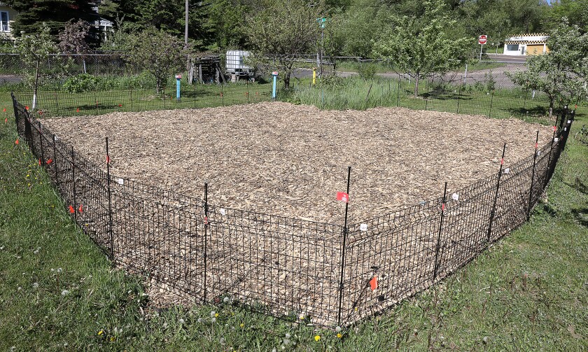 060221.N.DNT.FreedomFarms3.jpg