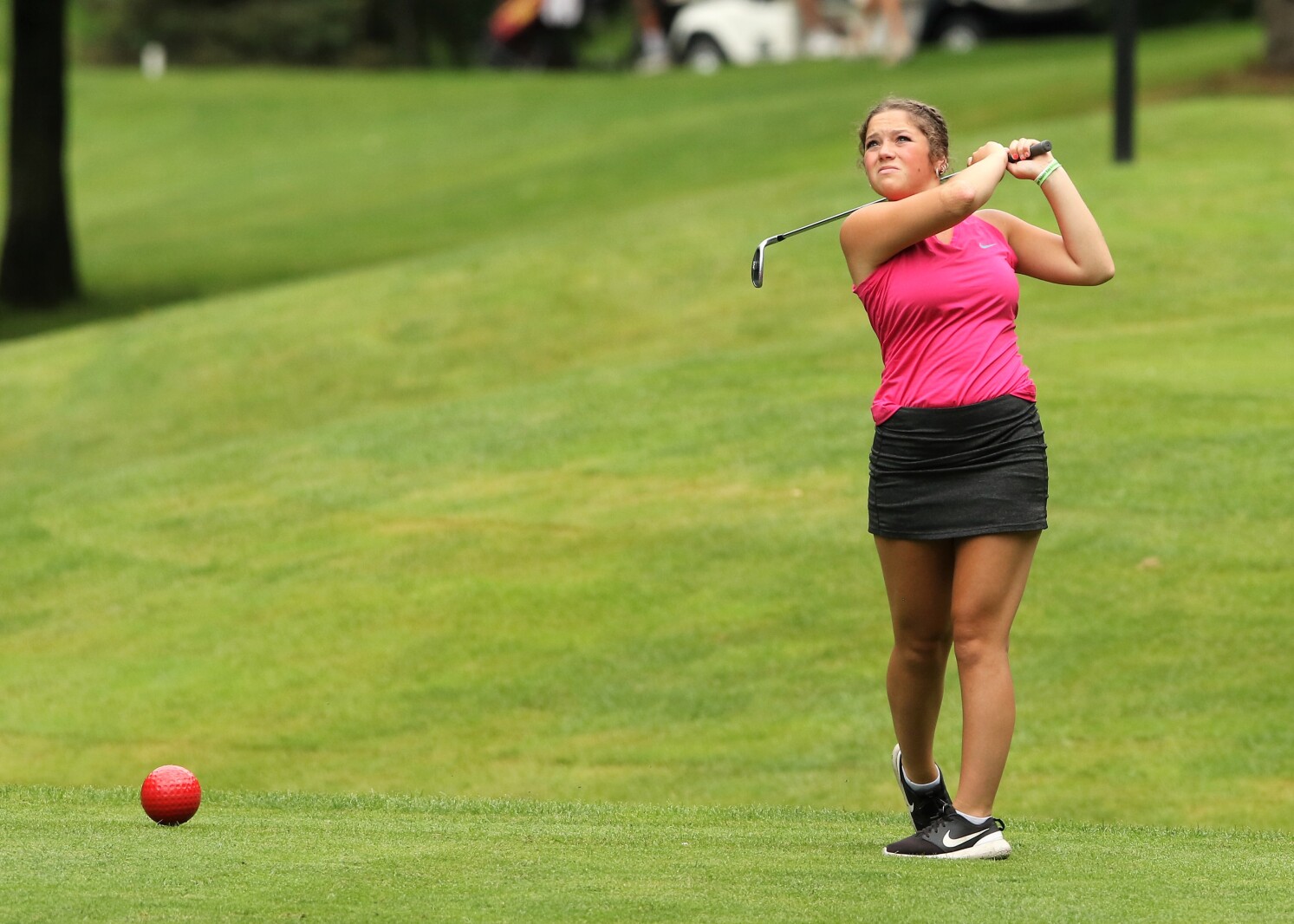 Area golfers compete in the Class 2A State Golf Tournament.
