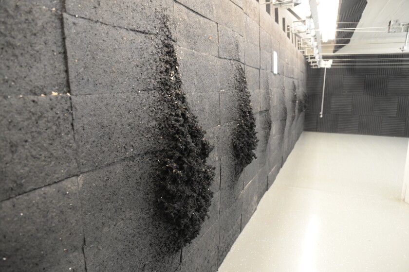 Willmar gun range to get new ballistic blocks, deep cleaning - West ...