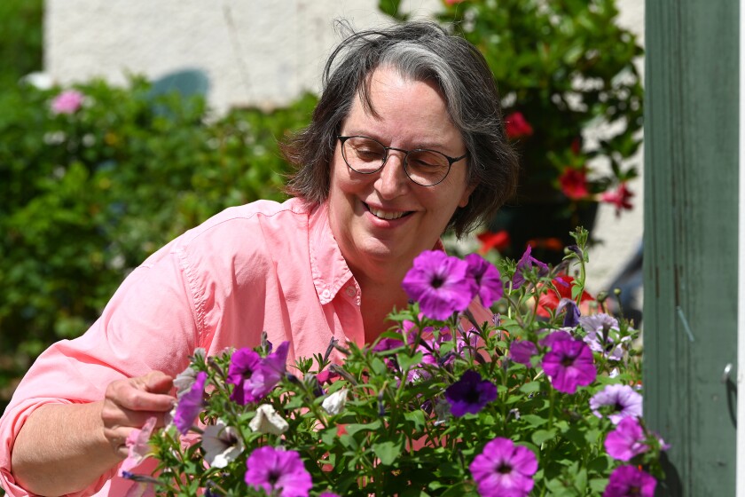 Chilly temps, sandy soil challenge area gardeners - Brainerd Dispatch 2 071520.N.BD.MasterGardener1.jpg