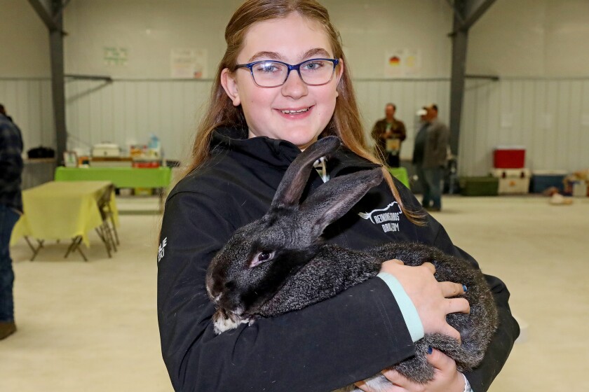 The 14th annual 4-H rabbit fun show and workshop judging Saturday, April 30, 2022, at the Crow Wing County Fairgrounds.