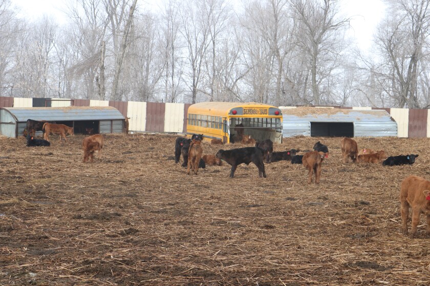 Agweek-March-2019-picture-4882228.jpg