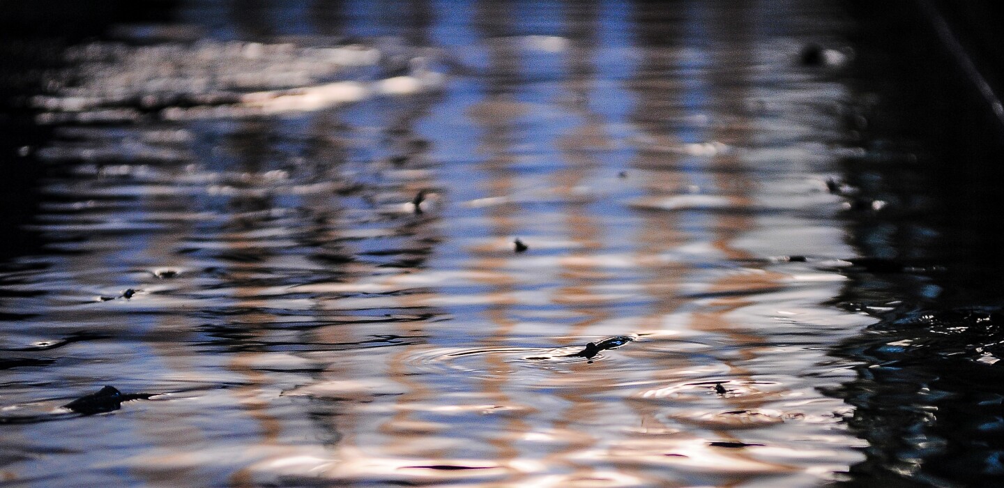 Photos Lanesboro Fish Hatchery Post Bulletin Rochester Minnesota