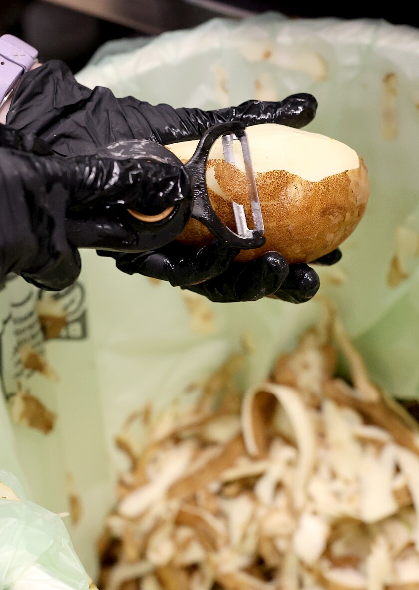 Hands peel potato.