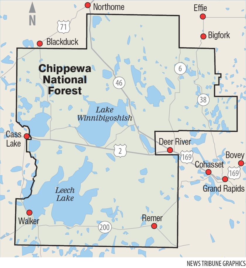 Chippewa National Forest.jpg