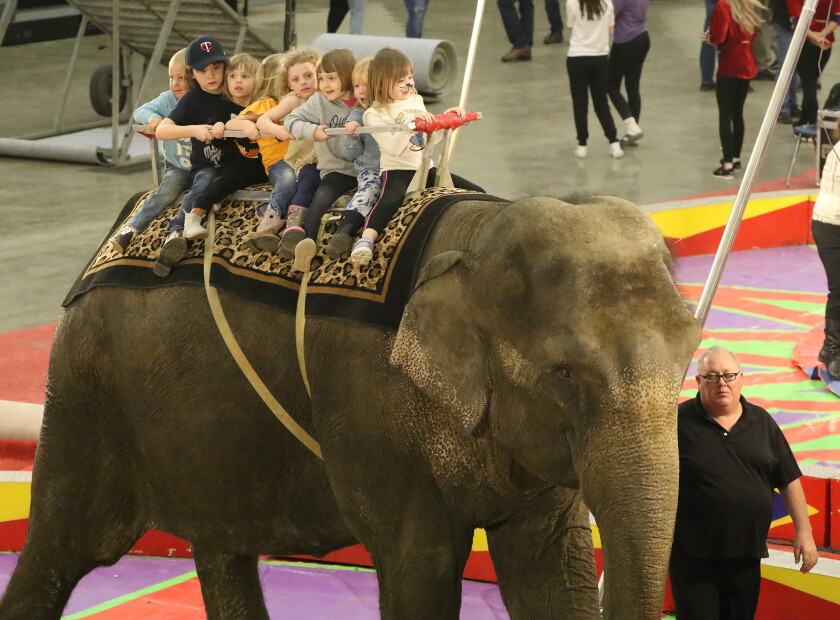 A Few Extras: The photographer's view of the circus - Jamestown Sun ...