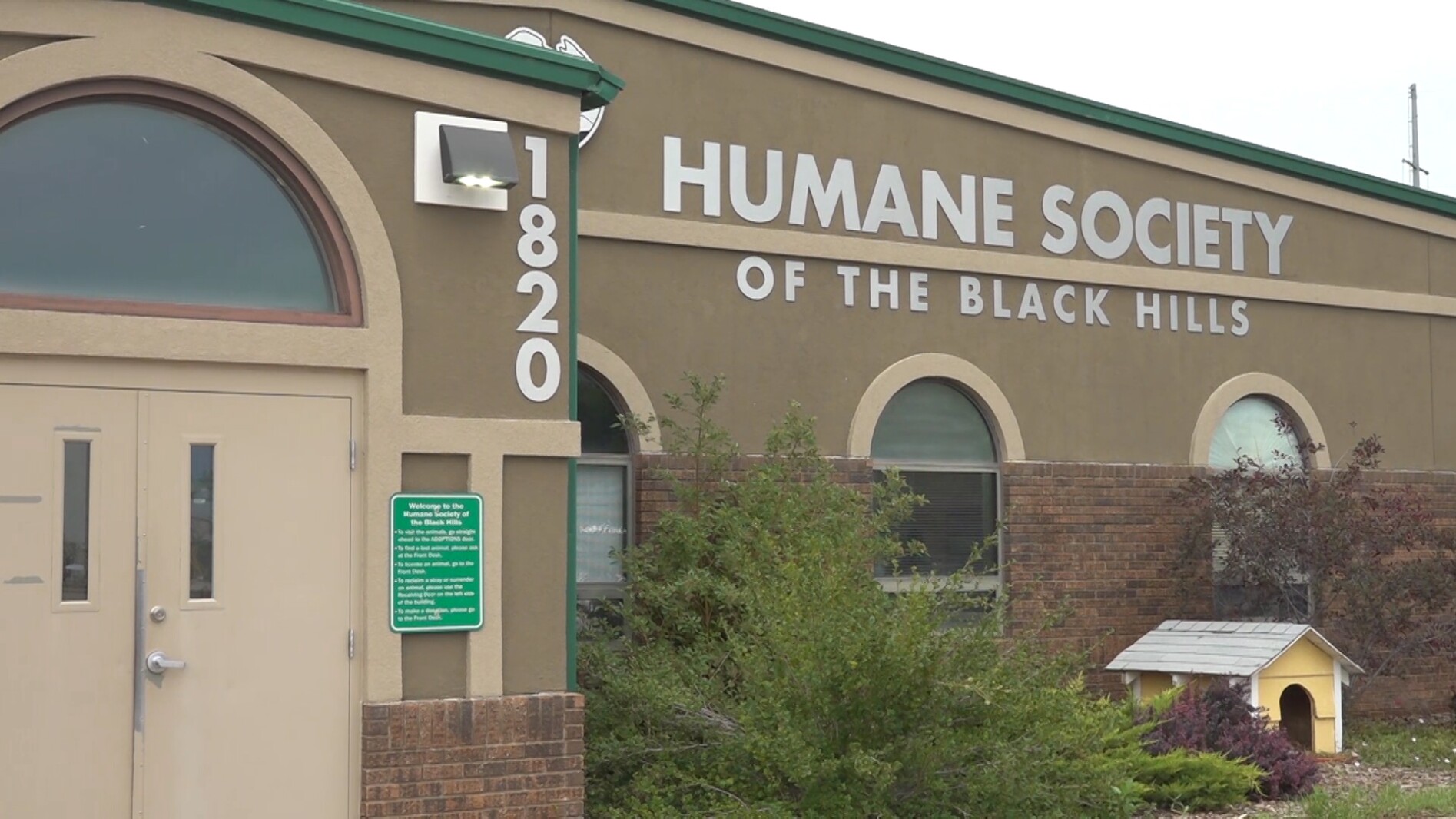 ‘Doghouse for a Day': Humane Society of the Black Hills' event raises money in Rapid City