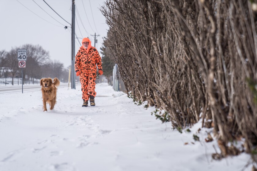 Winter in Rochester