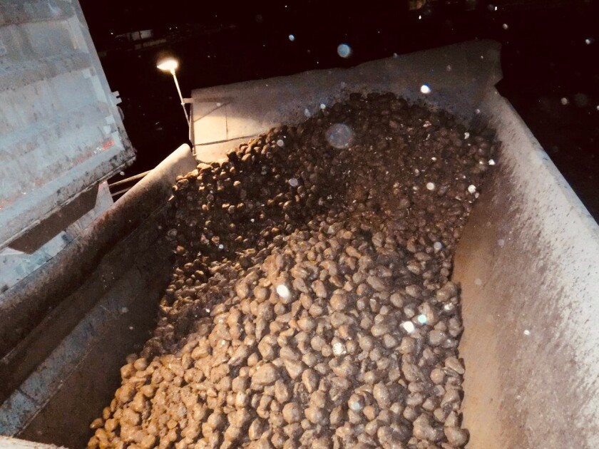 Last Load in Caro March 13_ 2021.jpg
