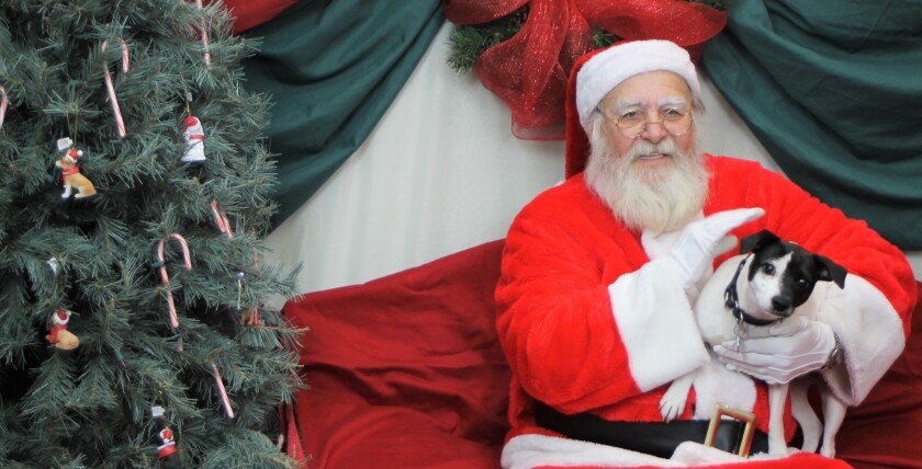 SantaPup.jpg