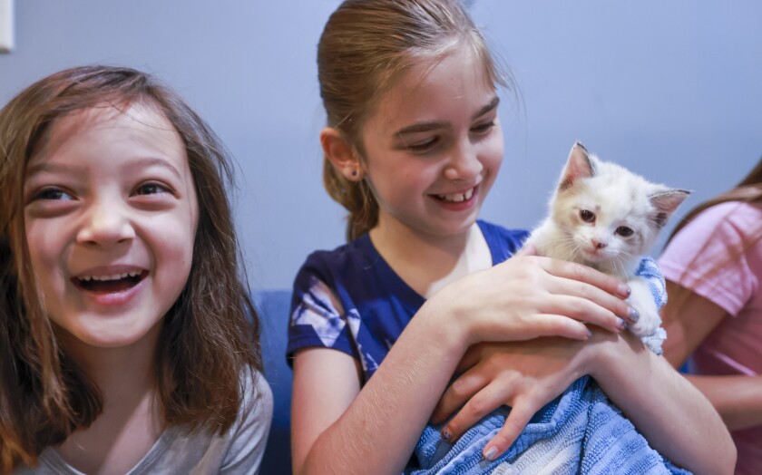 061521.F.DNT.ANIMALCAMP.C06.jpg
